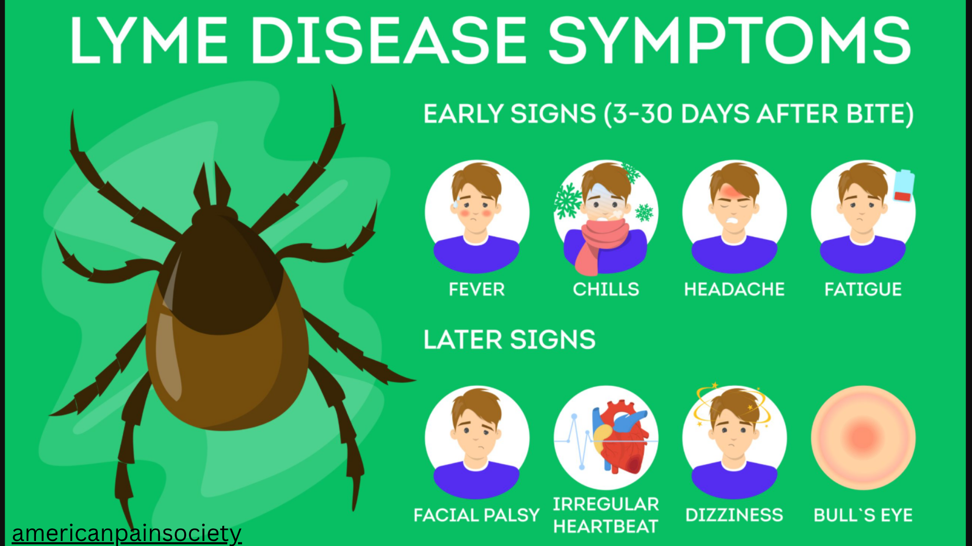 lyme disease symptoms