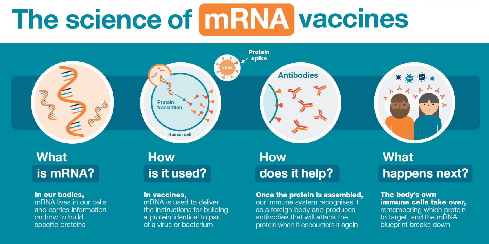 mrna vaccine side effects