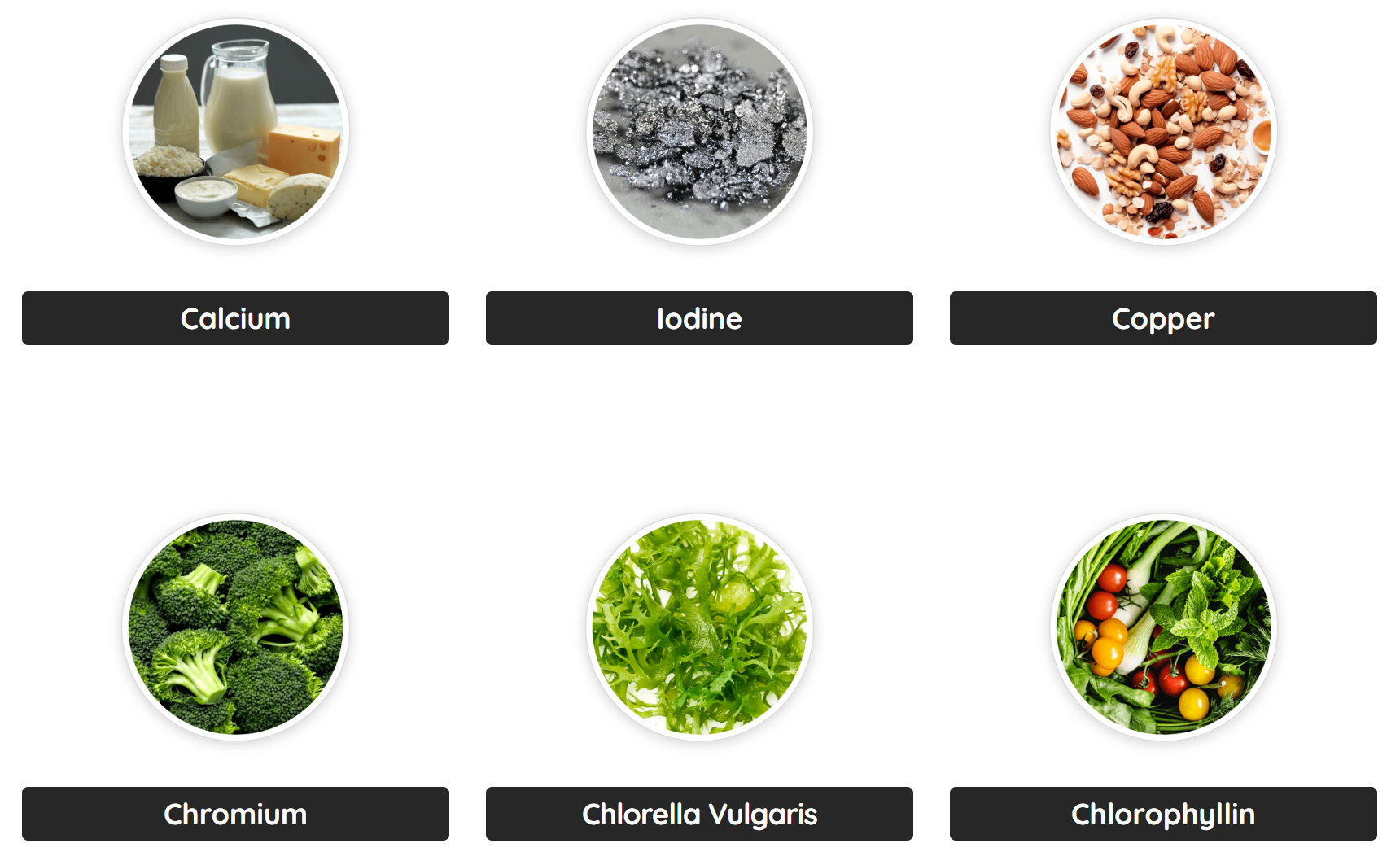 Denticore Ingredients