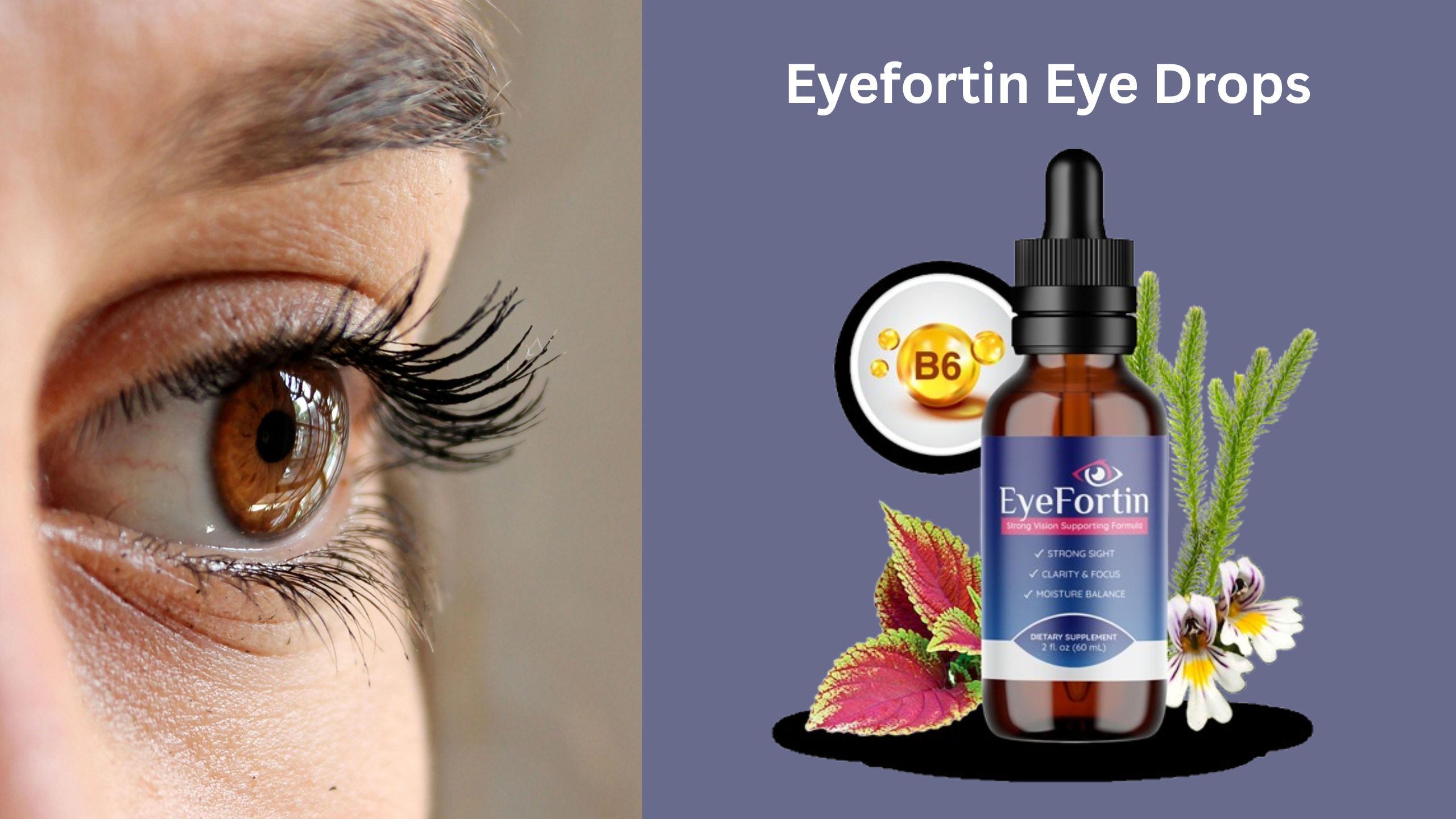 Eyefortin Eye Drops