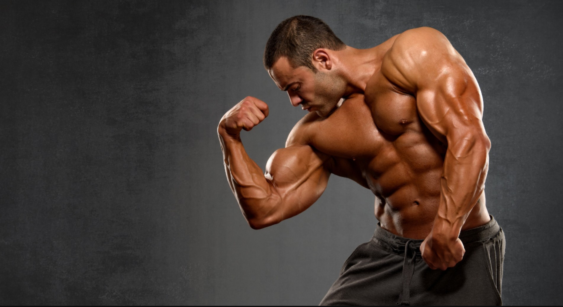 Best Muscle Building Supplements